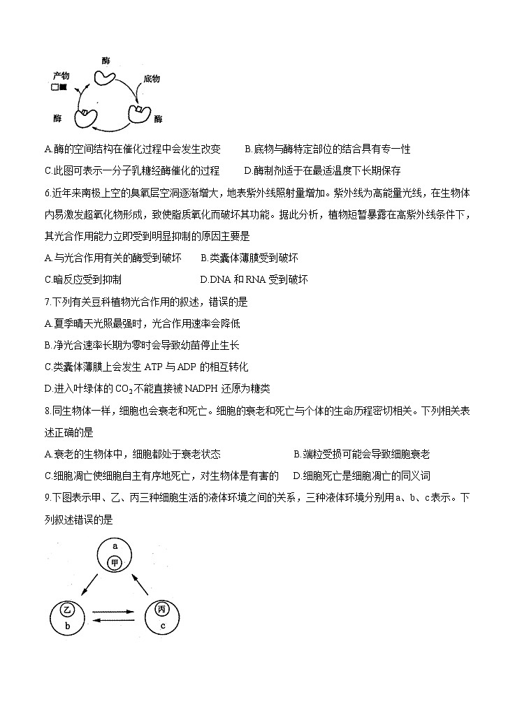 河南省洛阳市2021届高三上学期期中考试 生物（含答案）02