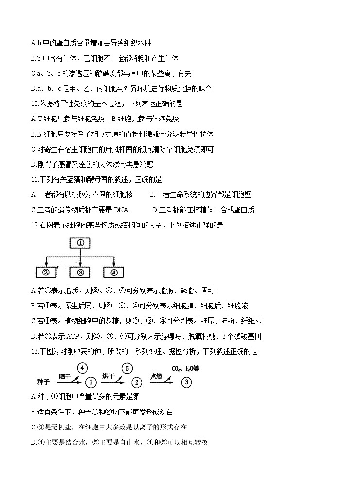 河南省洛阳市2021届高三上学期期中考试 生物（含答案）03
