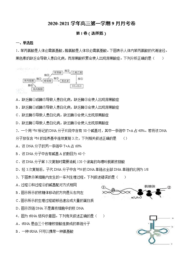 宁夏石嘴山市第三中学2021届高三上学期第一次月考 生物（含答案） 试卷01