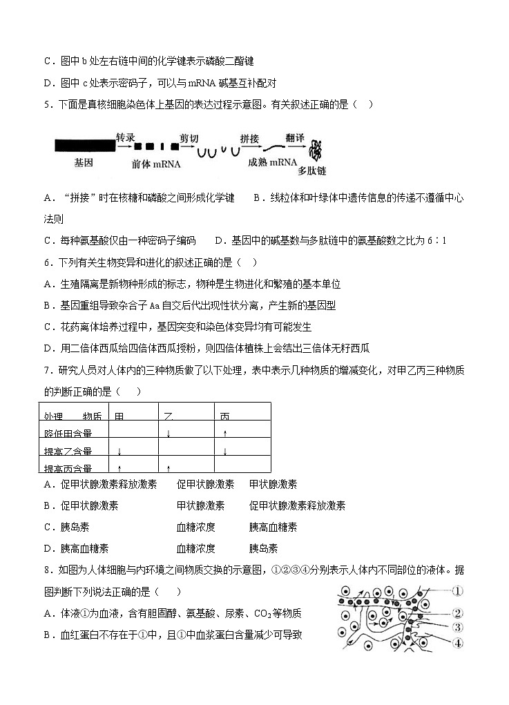 宁夏石嘴山市第三中学2021届高三上学期第一次月考 生物（含答案） 试卷02