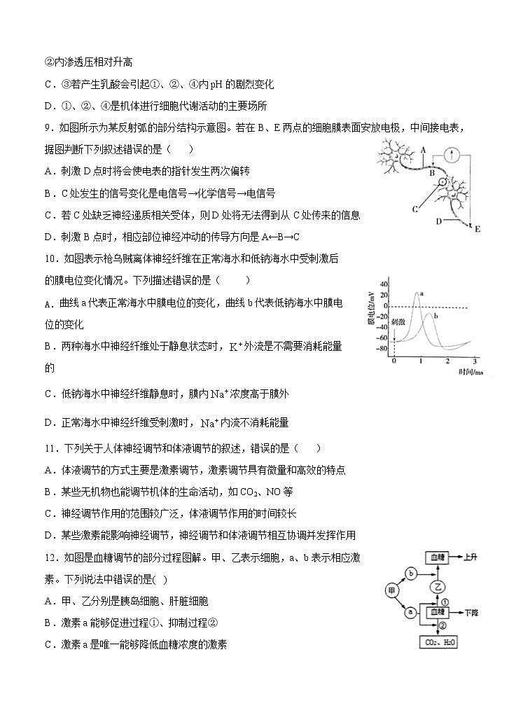 宁夏石嘴山市第三中学2021届高三上学期第一次月考 生物（含答案） 试卷03