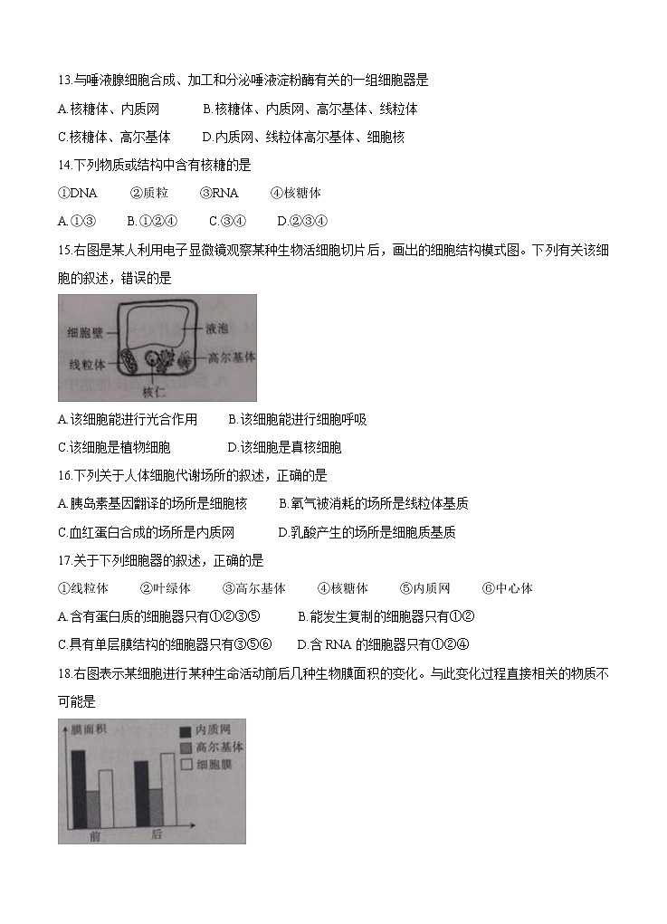 河北省承德市高中2021届高三第一次调研考试 生物（含答案）03