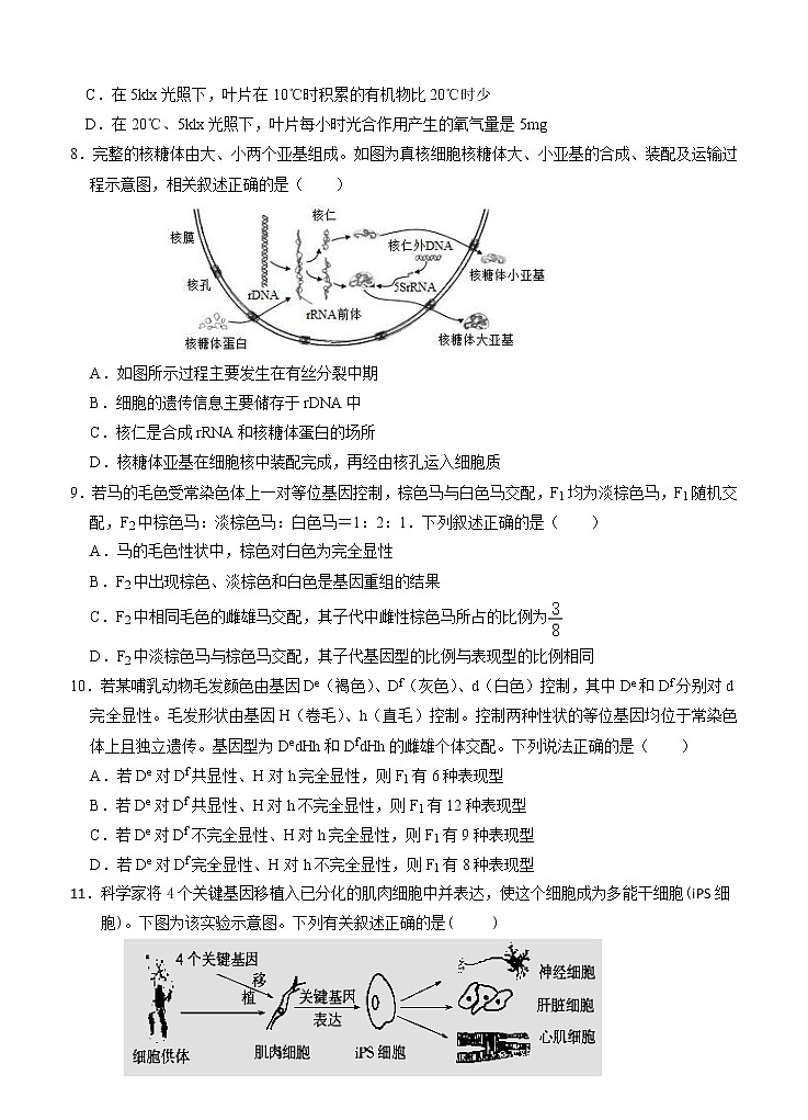 广东省深圳市外国语学校2021届高三第一次月考 生物（含答案） 试卷03