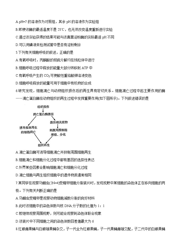 河南省天一大联考 “顶尖计划”2021届高三毕业班上学期第一次联考 生物（含答案）第2页