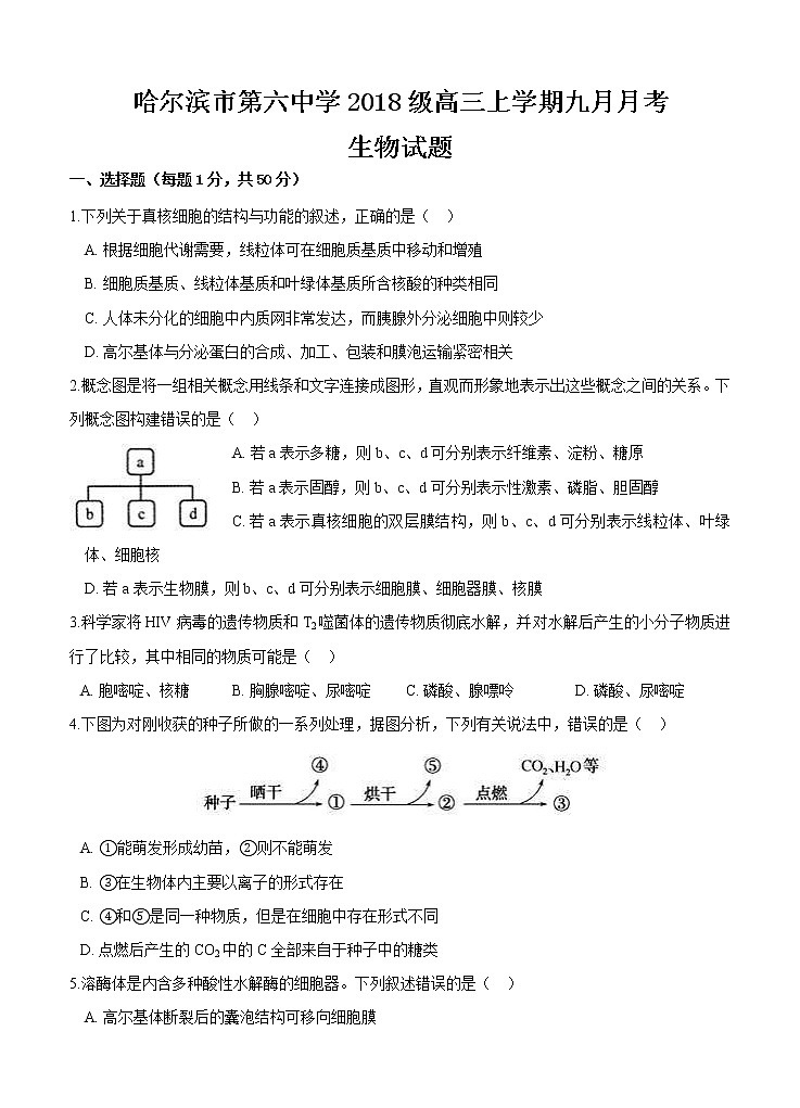黑龙江省哈尔滨市第六中学校2021届高三9月月考 生物（含答案） 试卷01