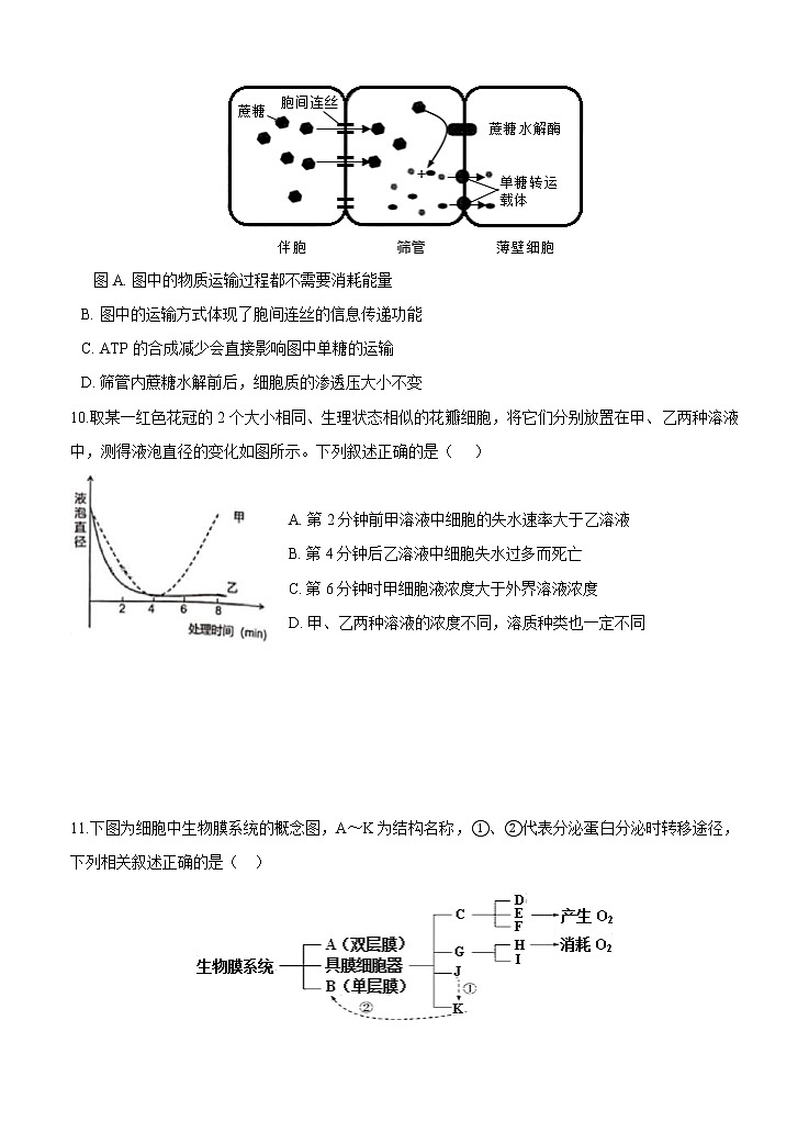 黑龙江省哈尔滨市第六中学校2021届高三9月月考 生物（含答案） 试卷03