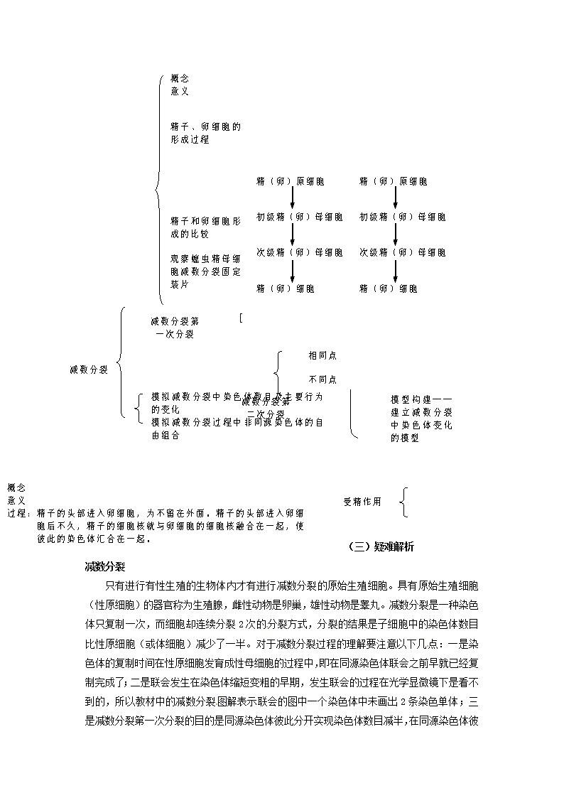 人教高中生物必修2教案：第二章　第一节 减数分裂和受精作用202