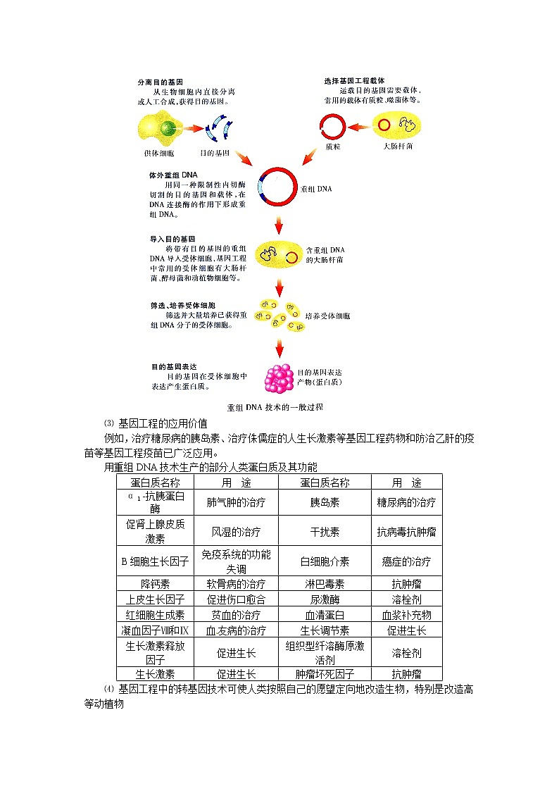人教高中生物必修2教案：第五章第一节 基因突变与基因重组202