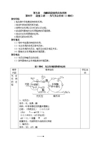 生物必修1《分子与细胞》二 光合作用的原理和应用[55]2课时教案设计