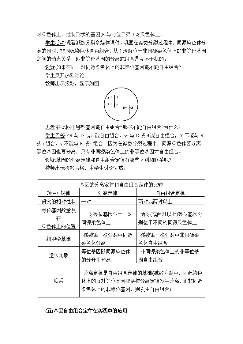 人教高中生物必修2教案：第1章　第二节 孟德尔豌豆杂交实验（二）第2课时02