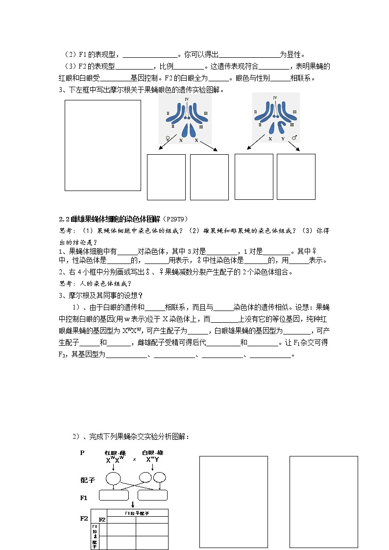 人教高中生物必修2教案：第二章 第二节 基因在染色体上1第2页