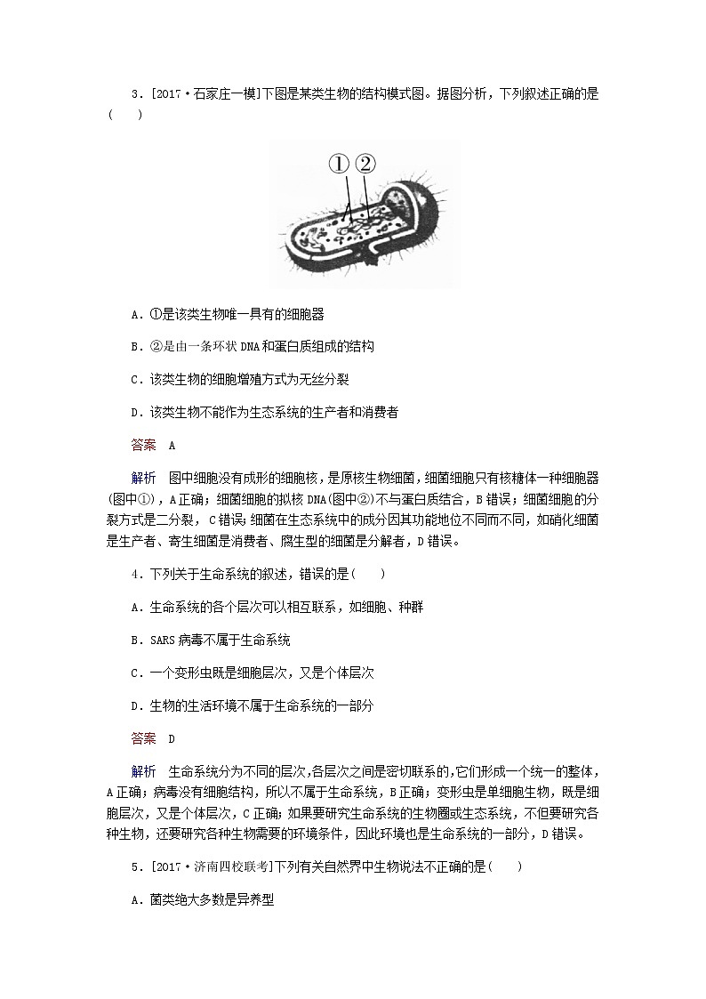 高考生物一轮专题复习专练 第一讲：走进细胞专题体验03