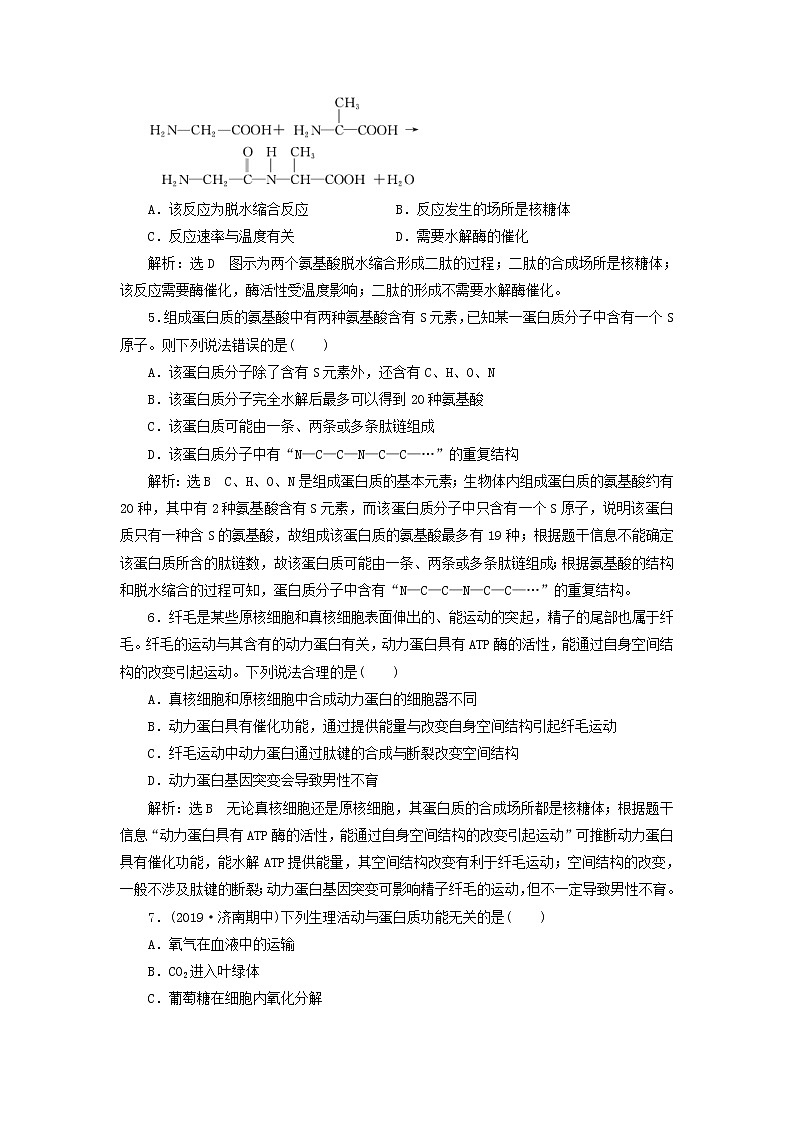新课改专用2020版高考生物一轮复习课下达标检测02《生命活动的主要承担者__蛋白质》(含解析)02