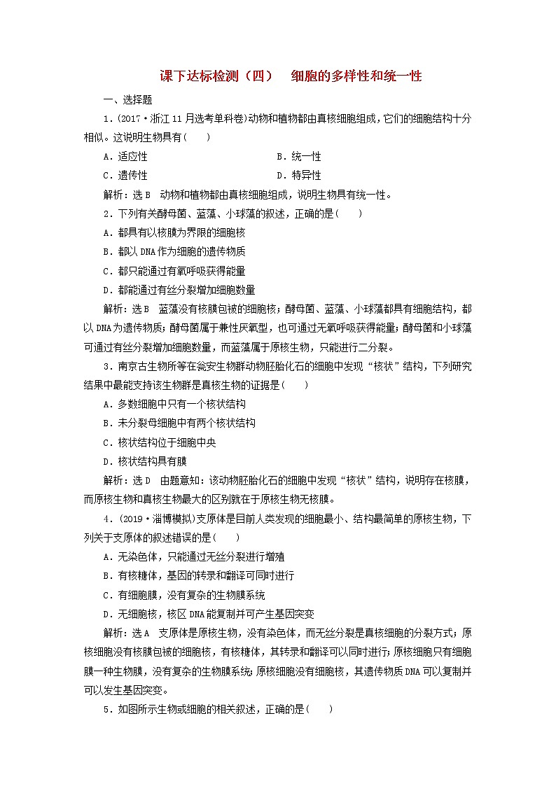 新课改专用2020版高考生物一轮复习课下达标检测04《细胞的多样性和统一性》(含解析)01