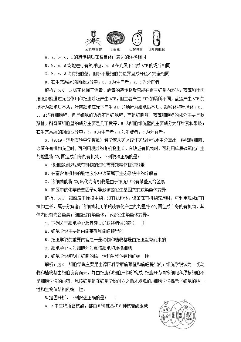 新课改专用2020版高考生物一轮复习课下达标检测04《细胞的多样性和统一性》(含解析)02