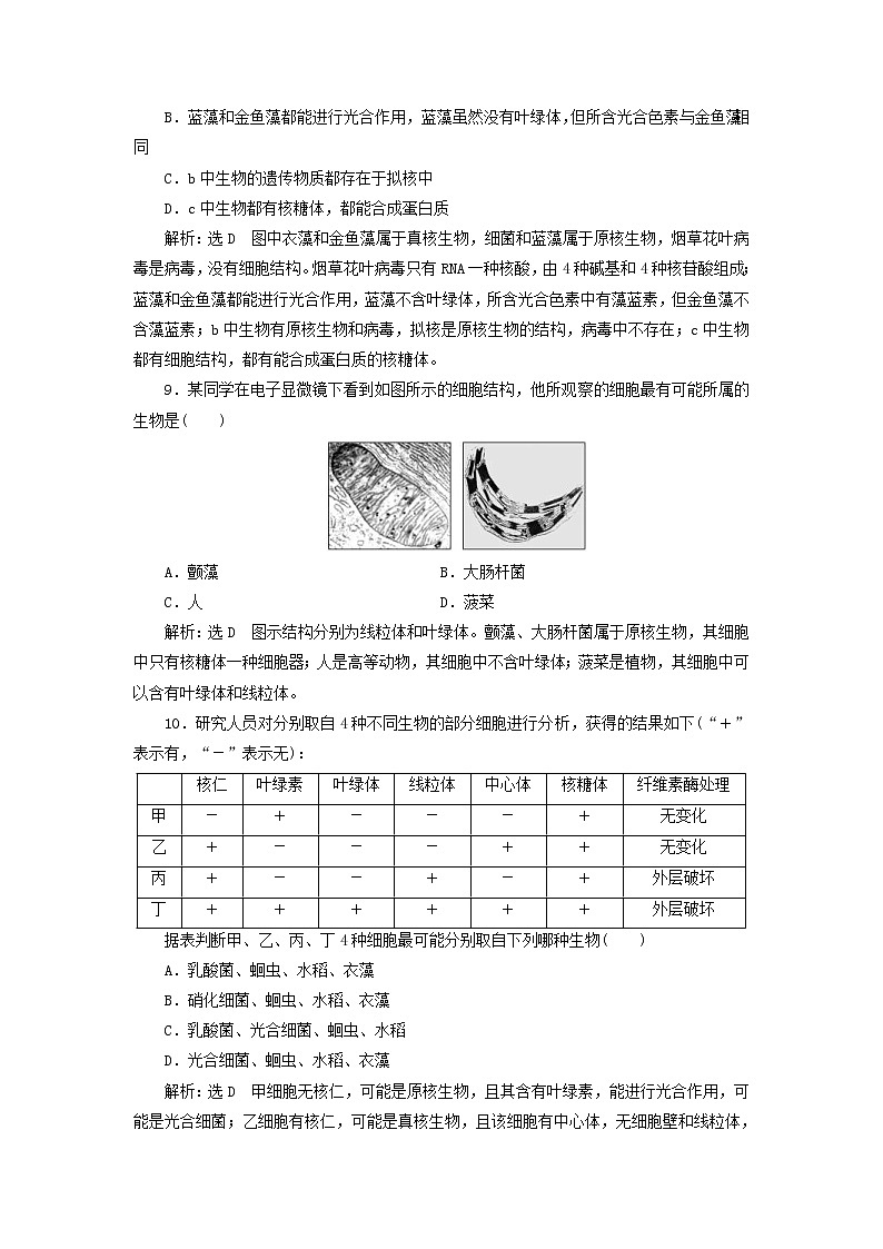 新课改专用2020版高考生物一轮复习课下达标检测04《细胞的多样性和统一性》(含解析)03