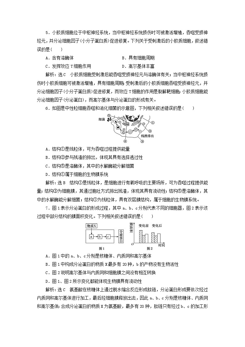 新课改专用2020版高考生物一轮复习课下达标检测06《细胞器__系统内的分工合作》(含解析)02