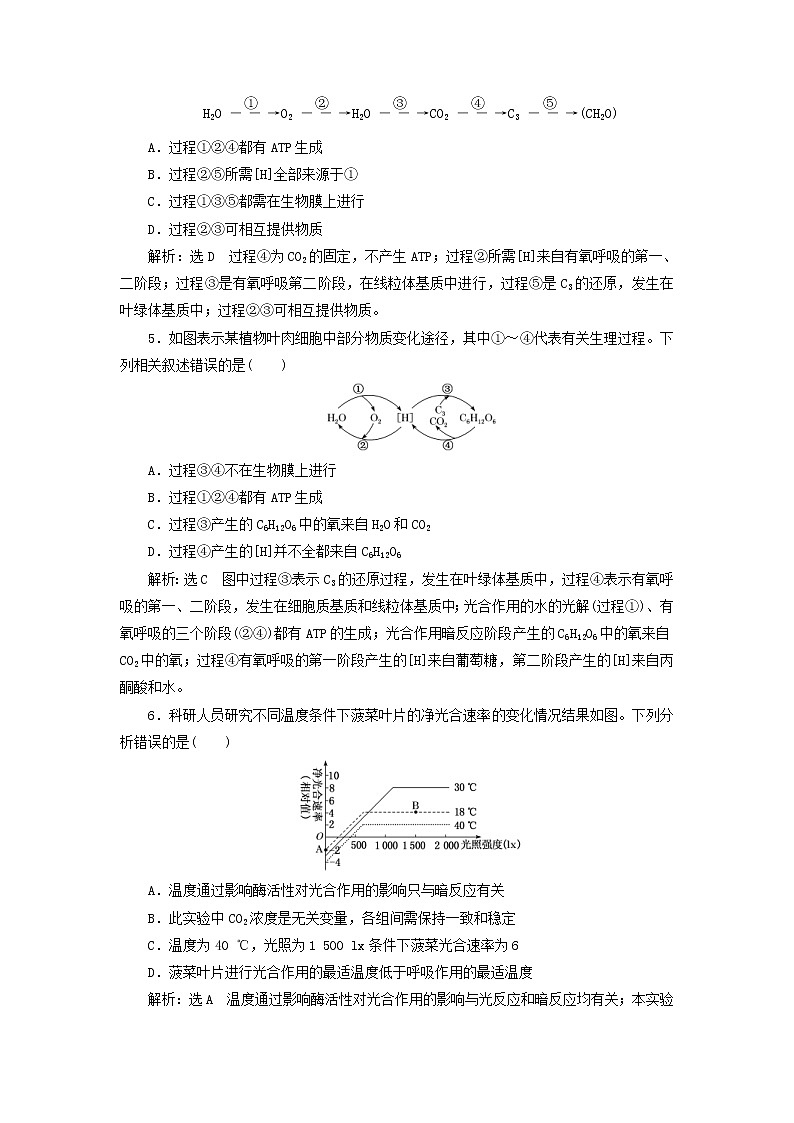 新课改专用2020版高考生物一轮复习课下达标检测11《光合作用与细胞呼吸的关系》(含解析)02