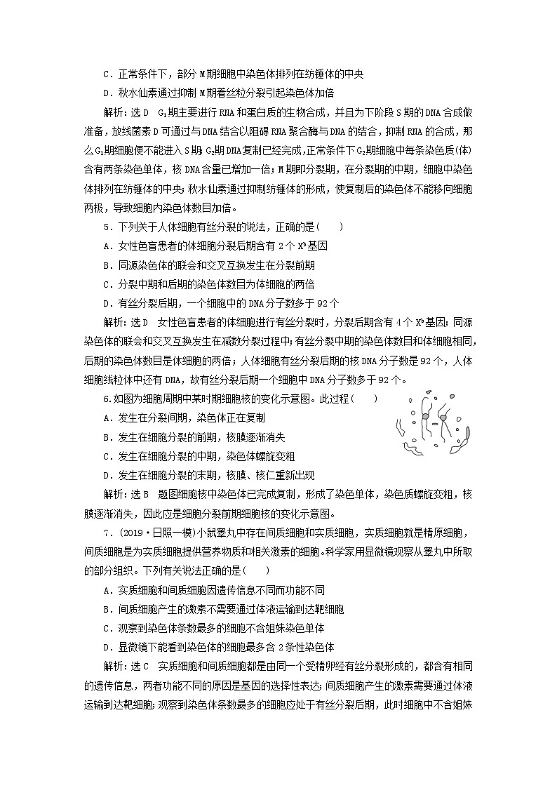 新课改专用2020版高考生物一轮复习课下达标检测12《细胞的增殖》(含解析)02