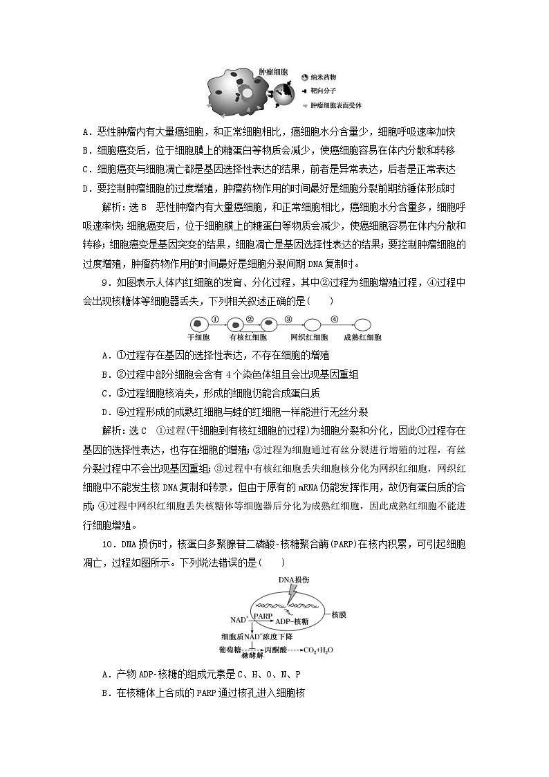 新课改专用2020版高考生物一轮复习课下达标检测14《细胞的分化衰老凋亡和癌变》(含解析)03