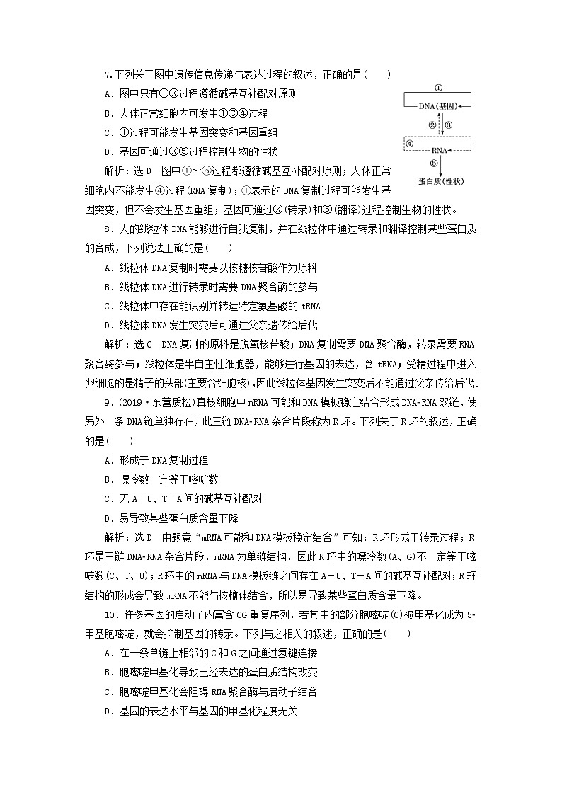 新课改专用2020版高考生物一轮复习课下达标检测21《基因的表达》(含解析)03