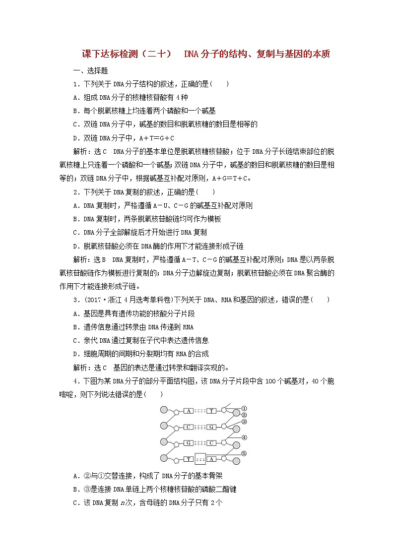 新课改专用2020版高考生物一轮复习课下达标检测20《DNA分子的结构复制与基因的本质》(含解析)01