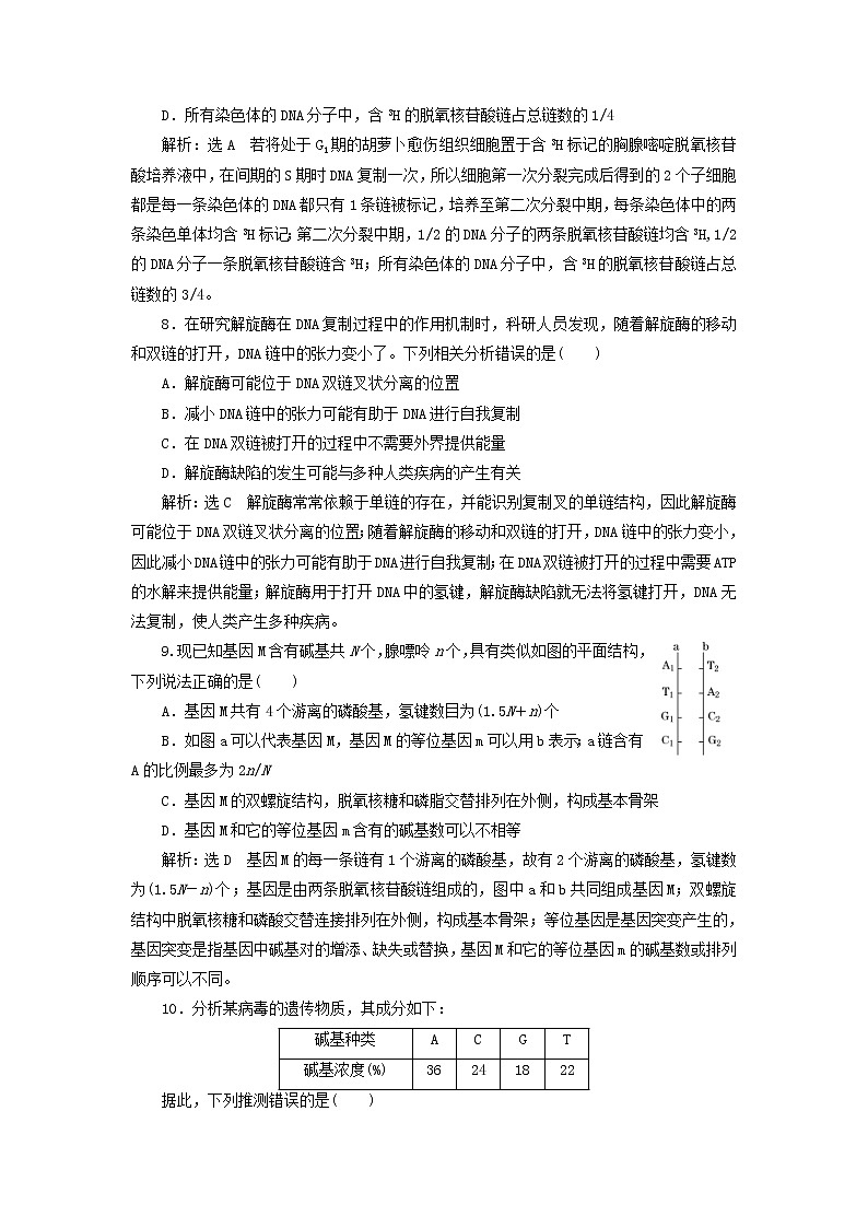 新课改专用2020版高考生物一轮复习课下达标检测20《DNA分子的结构复制与基因的本质》(含解析)03