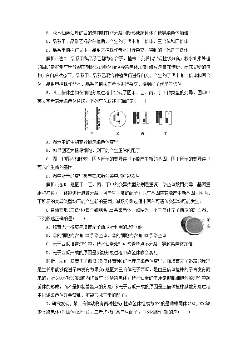 新课改专用2020版高考生物一轮复习课下达标检测23《染色体变异》(含解析)02