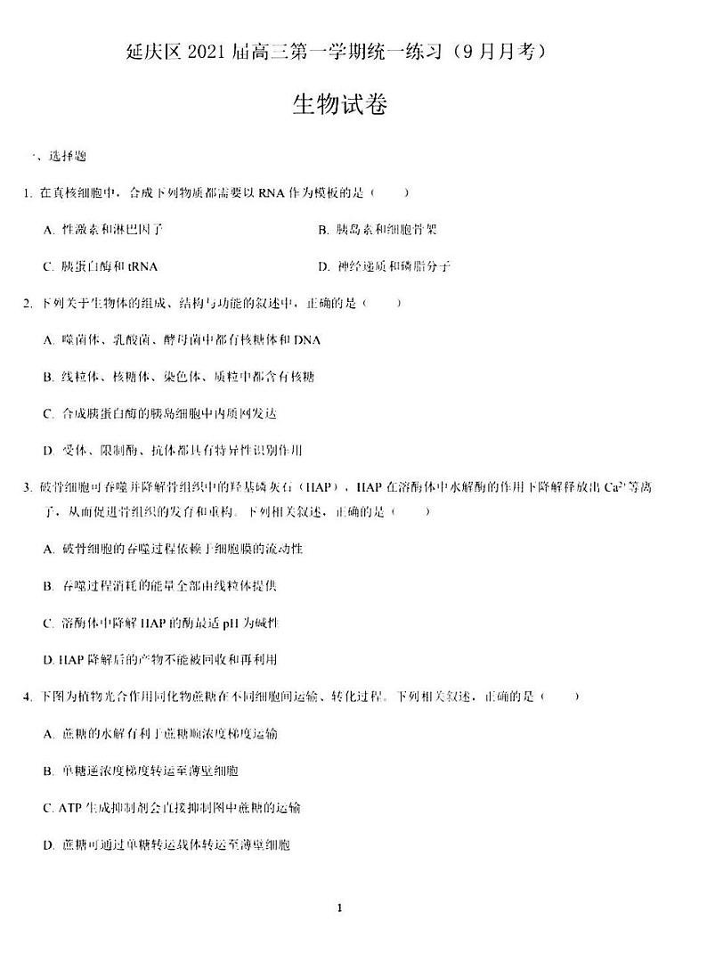 2020年9月北京延庆高三月考生物试题及答案01