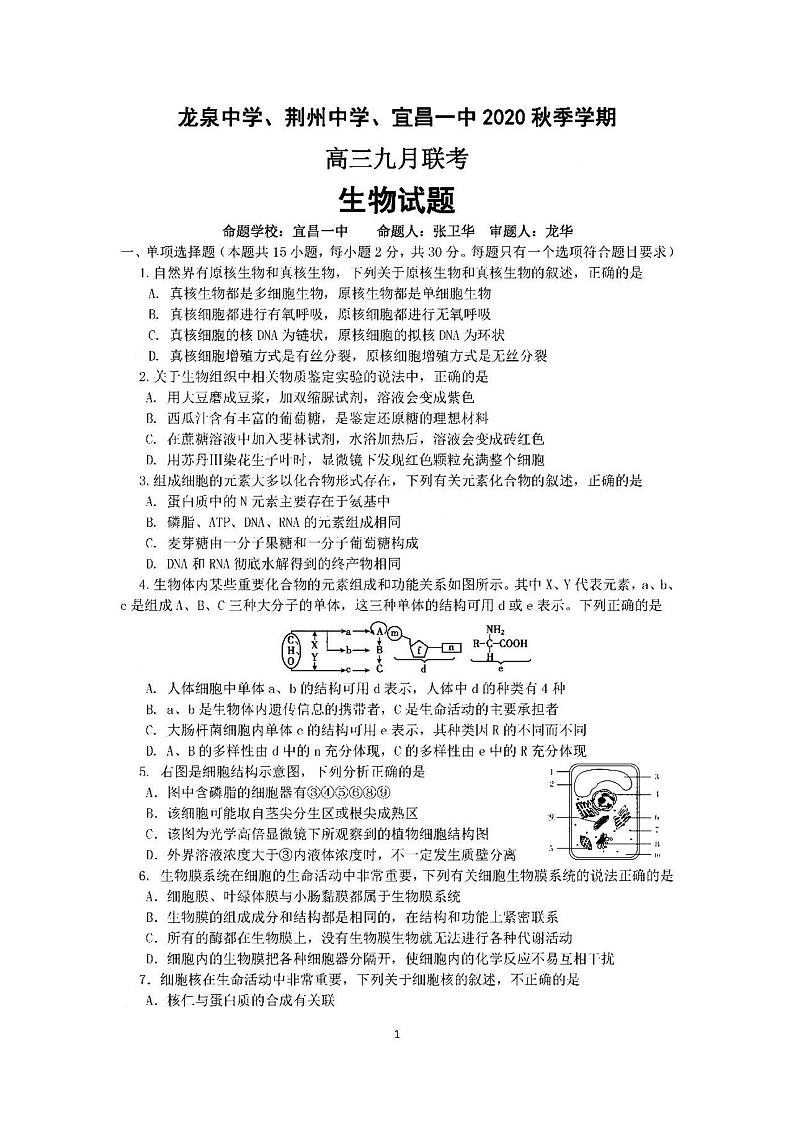 2021湖北龙泉中学、荆州中学、宜昌一中9月联考高三生物试卷答案01