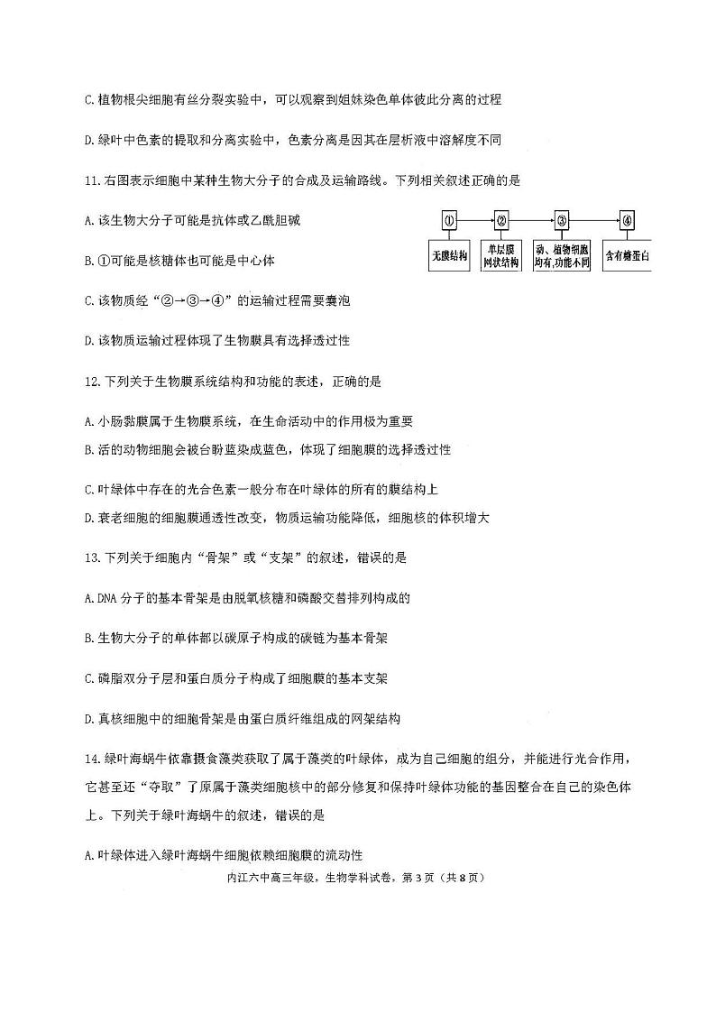 2021四川内江第六中学高三第一次月考生物试卷答案解析03