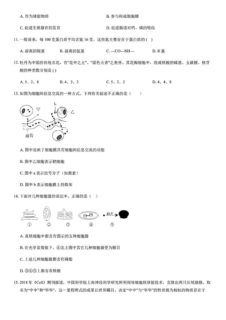 2020年9月北京首师大附中高二月考生物试题及答案03