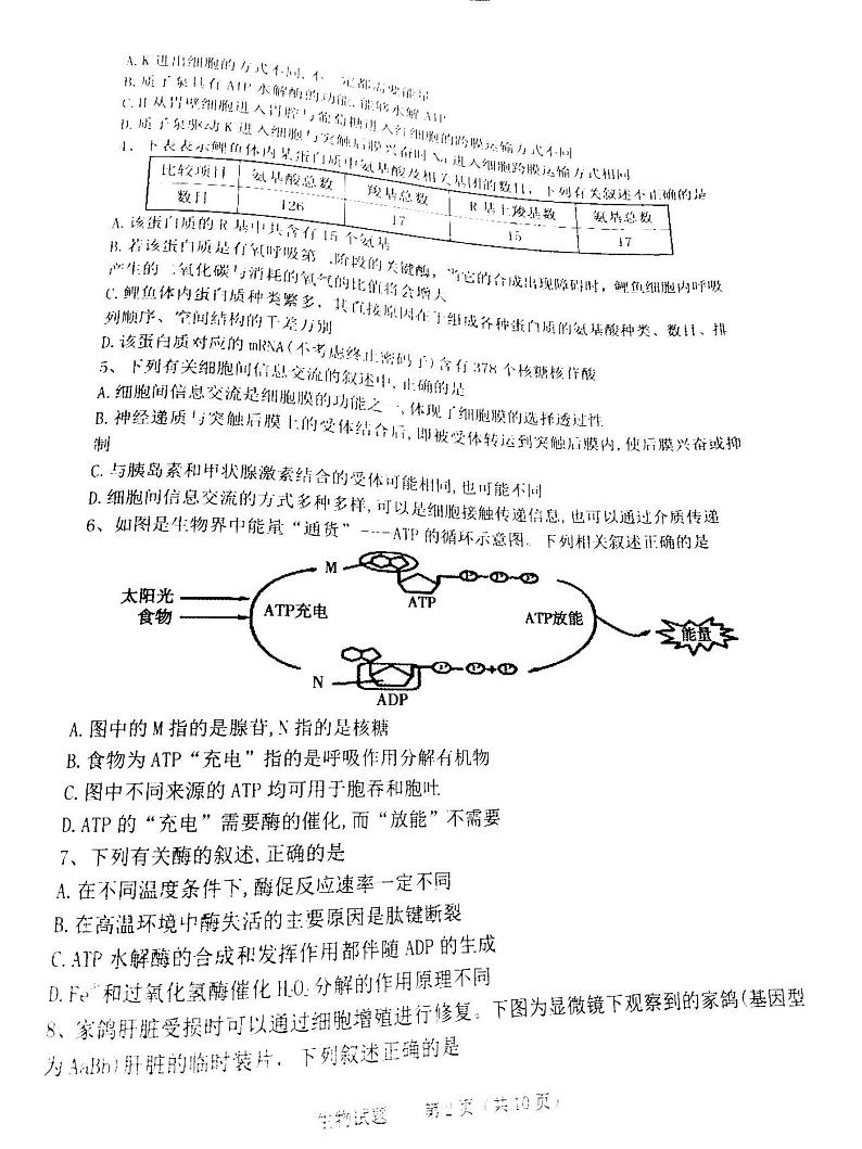 2021山西长冶9月统考高三生物试卷答案解析02