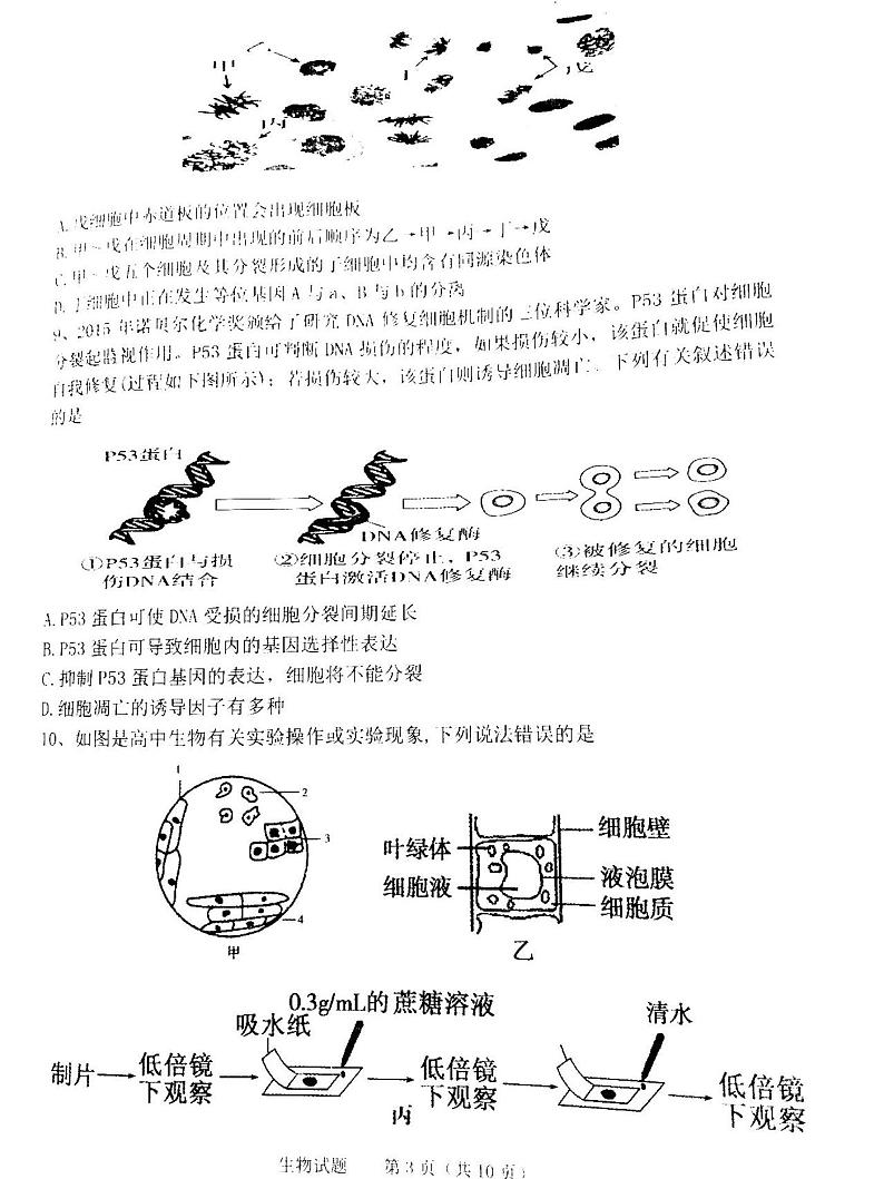2021山西长冶9月统考高三生物试卷答案解析03