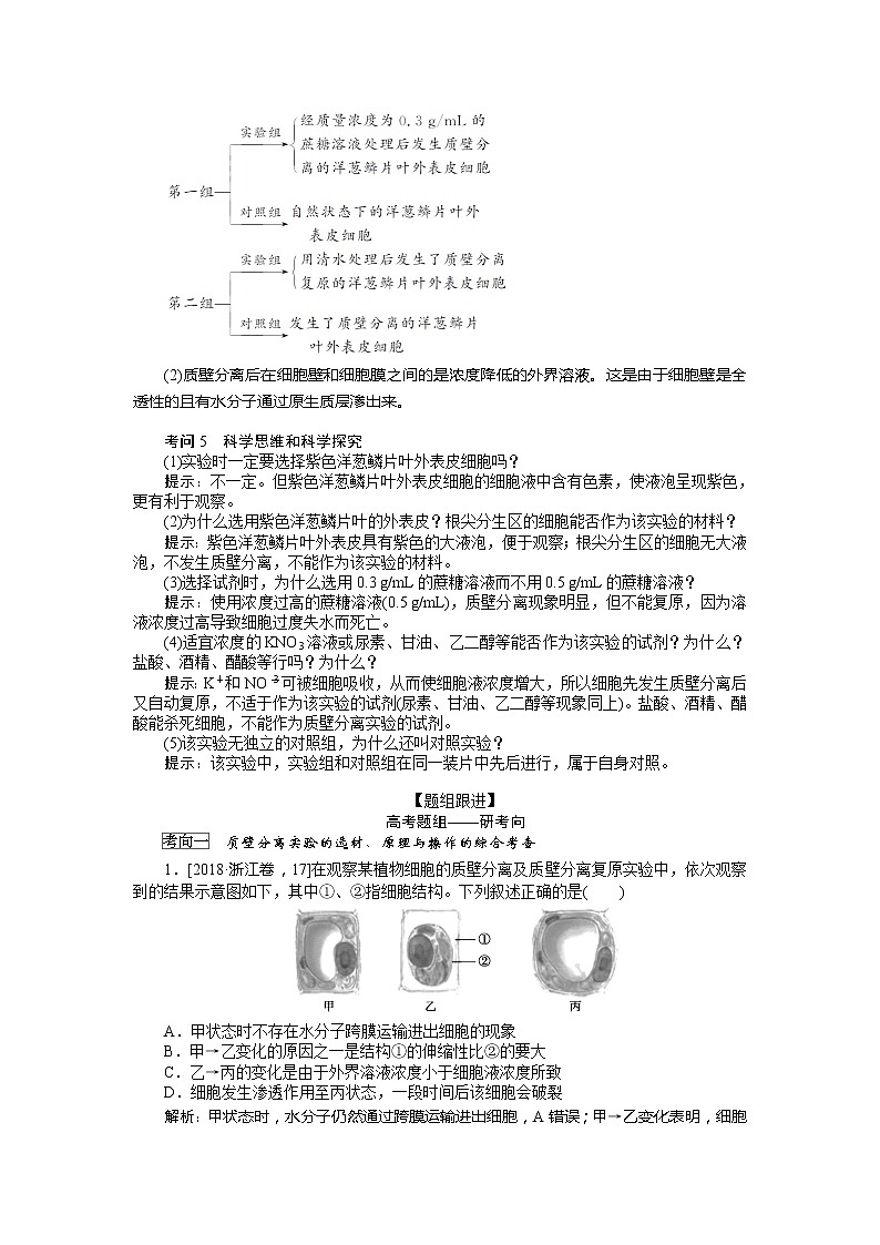 2020版《全程复习方略》高考生物一轮复习高考必考教材实验（五）——观察植物细胞的质壁分离及复原 学案02