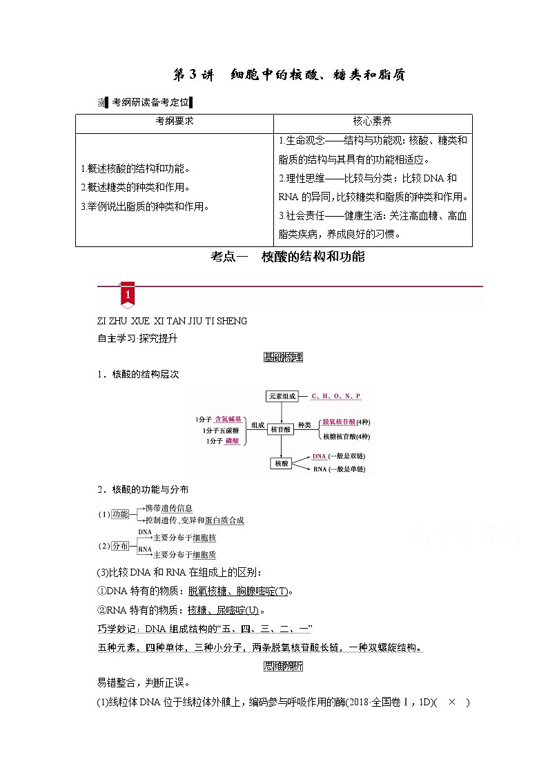 2021新高考生物人教版一轮学案：必修部分模块1第1单元第3讲　细胞中的核酸、糖类和脂质第1页