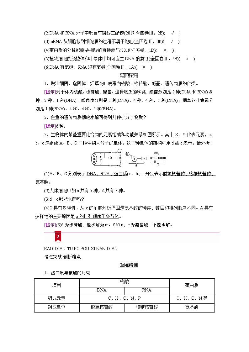 2021新高考生物人教版一轮学案：必修部分模块1第1单元第3讲　细胞中的核酸、糖类和脂质第2页