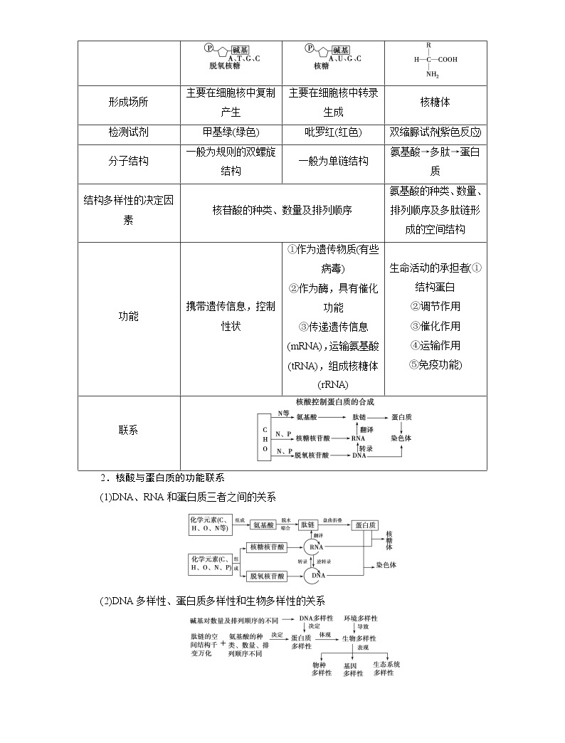 2021新高考生物人教版一轮学案:必修部分模块1第1单元第3讲 细胞中的