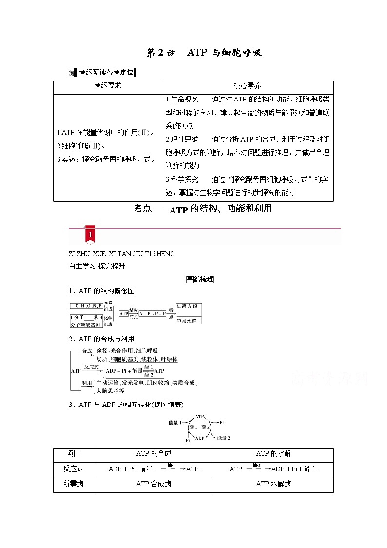 2021新高考生物人教版一轮学案：必修部分模块1第3单元第2讲　ATP与细胞呼吸01