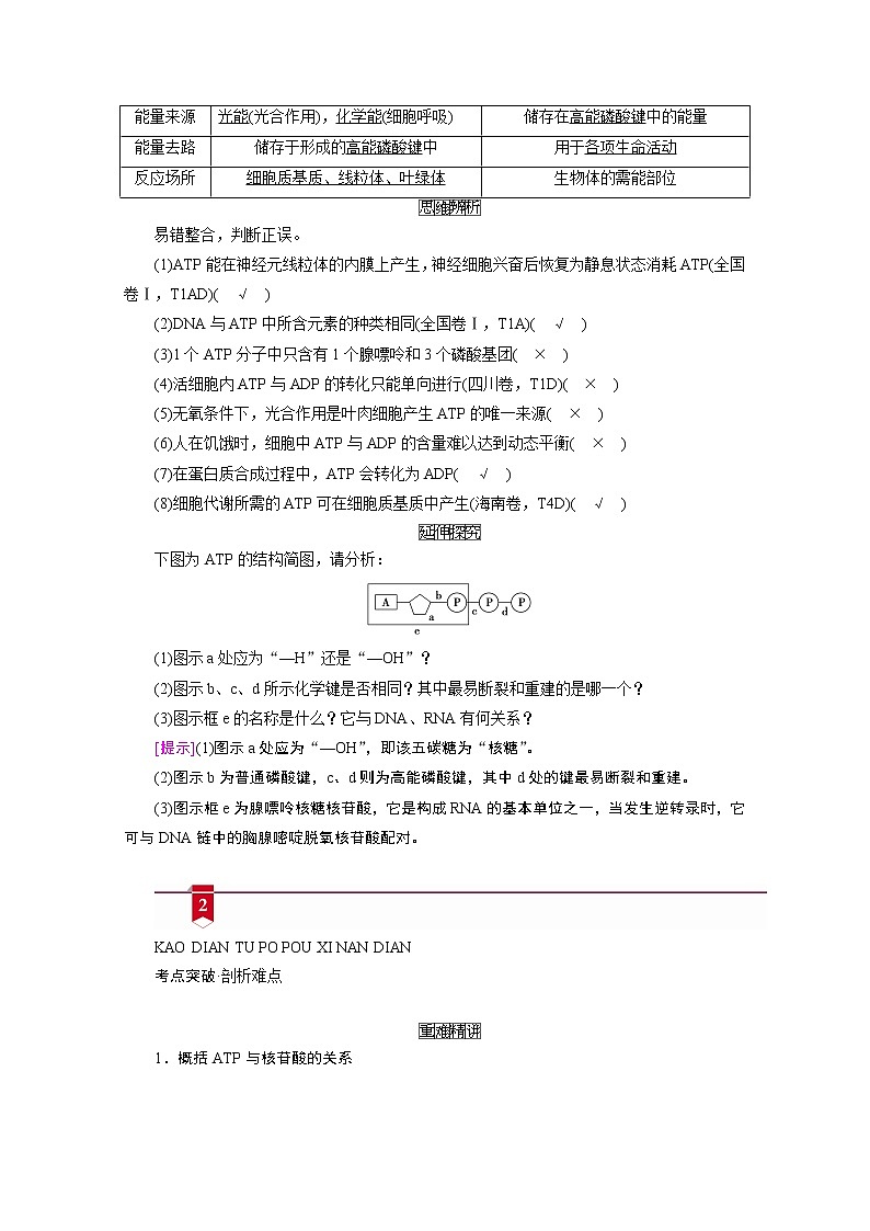 2021新高考生物人教版一轮学案：必修部分模块1第3单元第2讲　ATP与细胞呼吸02