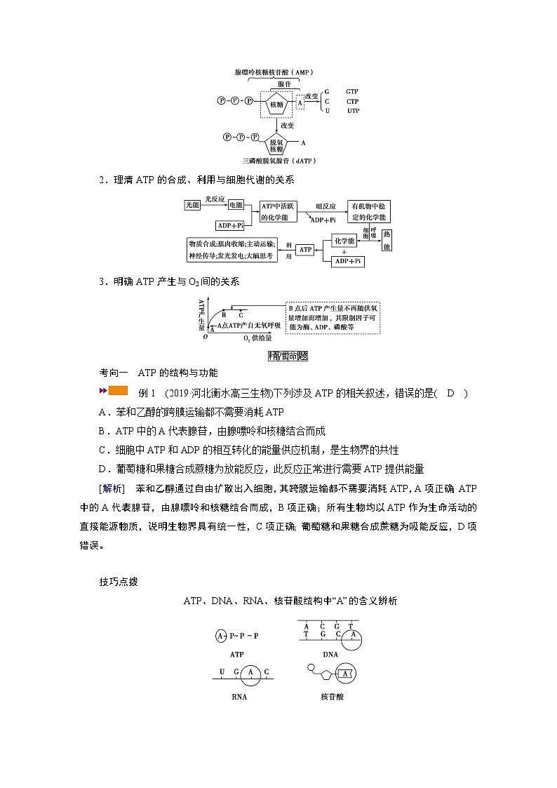 2021新高考生物人教版一轮学案：必修部分模块1第3单元第2讲　ATP与细胞呼吸03