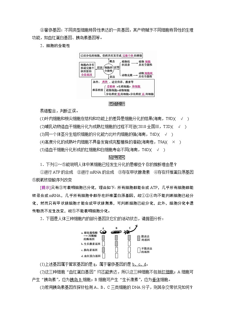 2021新高考生物人教版一轮学案：必修部分模块1第4单元第3讲　细胞的分化、衰老、凋亡和癌变第2页