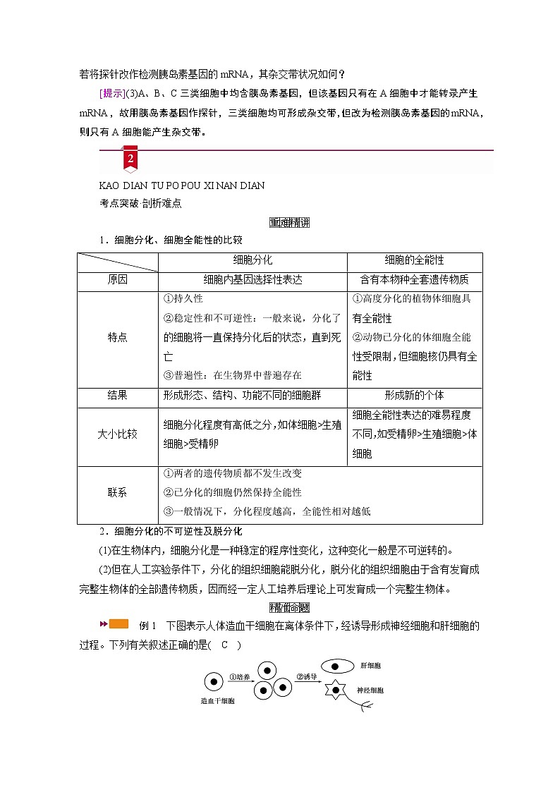 2021新高考生物人教版一轮学案：必修部分模块1第4单元第3讲　细胞的分化、衰老、凋亡和癌变第3页