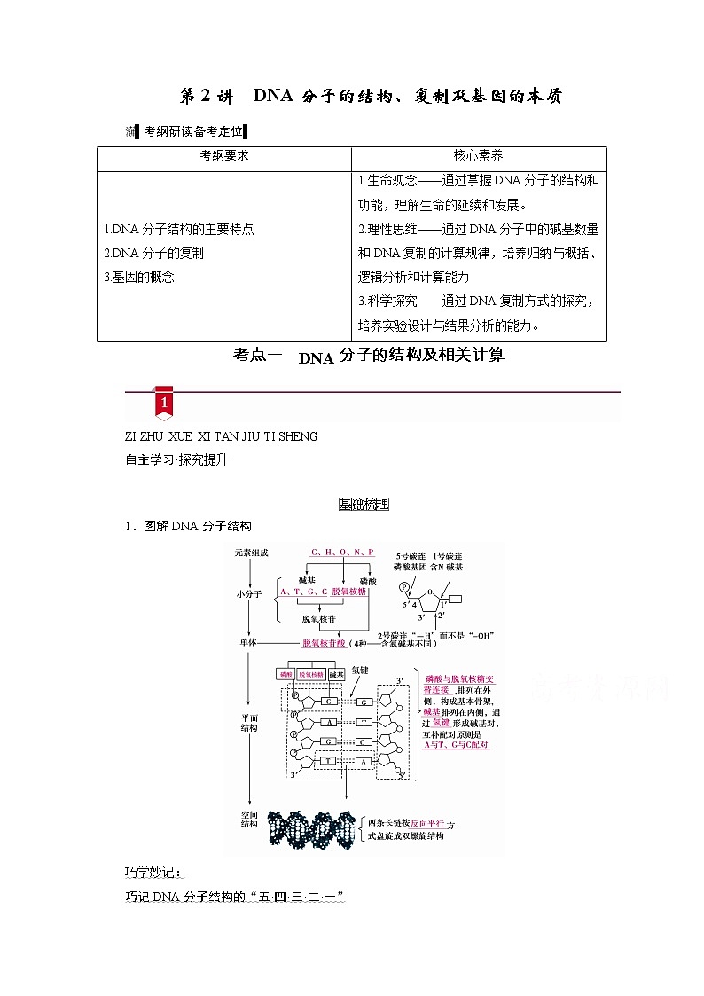 2021新高考生物人教版一轮学案：必修部分模块2第2单元第2讲　DNA分子的结构、复制及基因的本质01