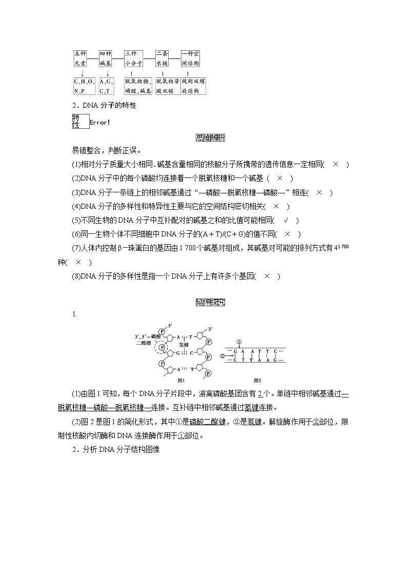 2021新高考生物人教版一轮学案：必修部分模块2第2单元第2讲　DNA分子的结构、复制及基因的本质02