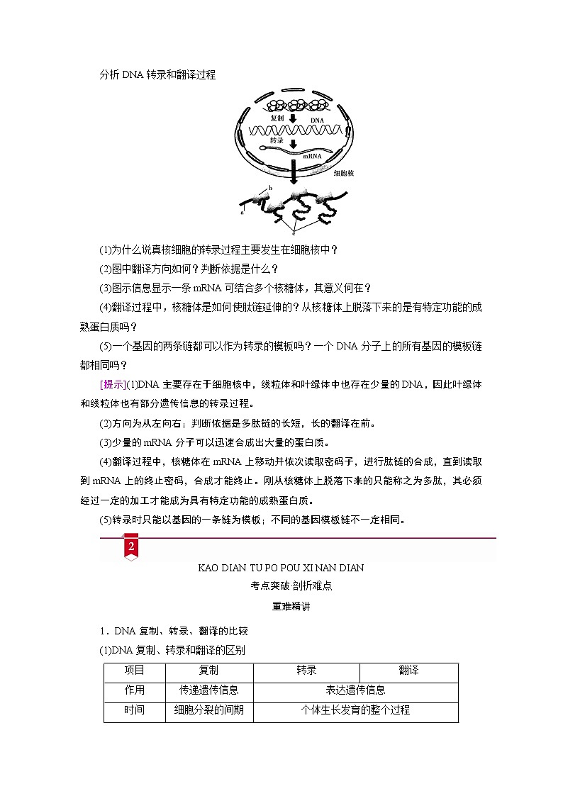2021新高考生物人教版一轮学案：必修部分模块2第2单元第3讲　基因的表达03
