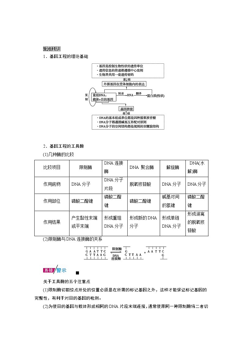 2021新高考生物人教版一轮学案：选择性必修部分模块3第2单元第1讲　基因工程03