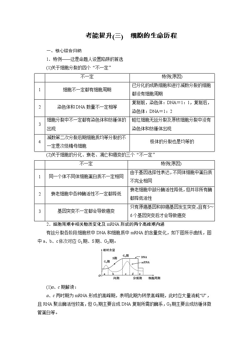2021新高考生物人教版一轮学案：考能提升（三）　细胞的生命历程第1页