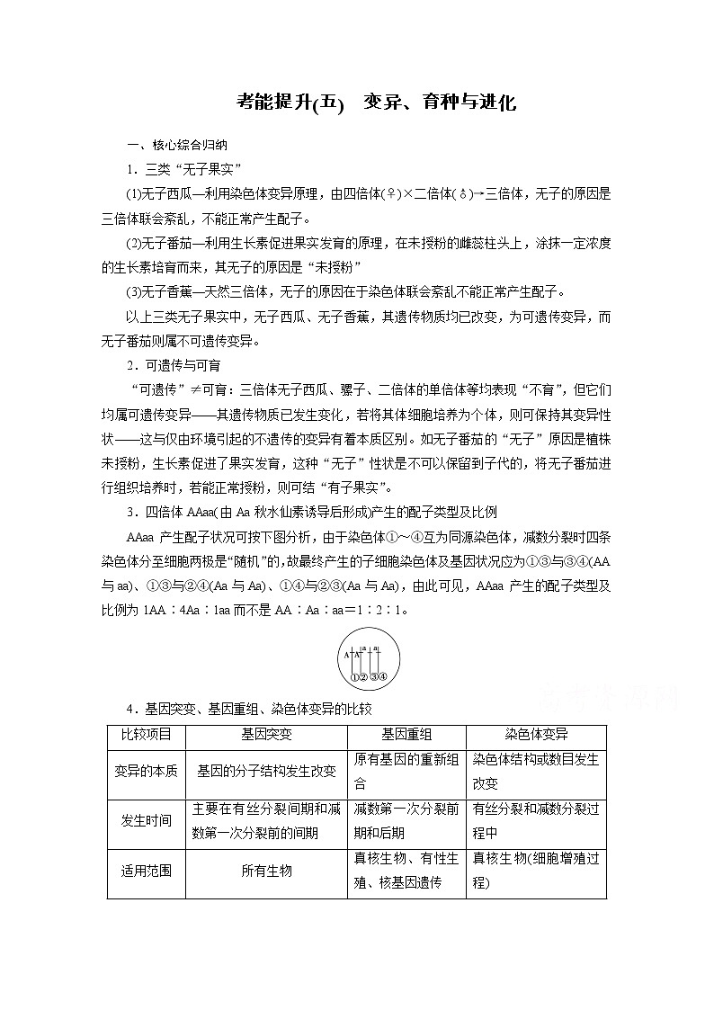 2021新高考生物人教版一轮学案：考能提升（五）　变异、育种与进化第1页