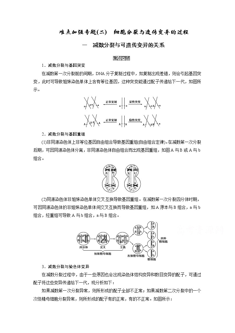 2021新高考生物人教版一轮学案：难点加强专题（二）　细胞分裂与遗传变异的过程第1页